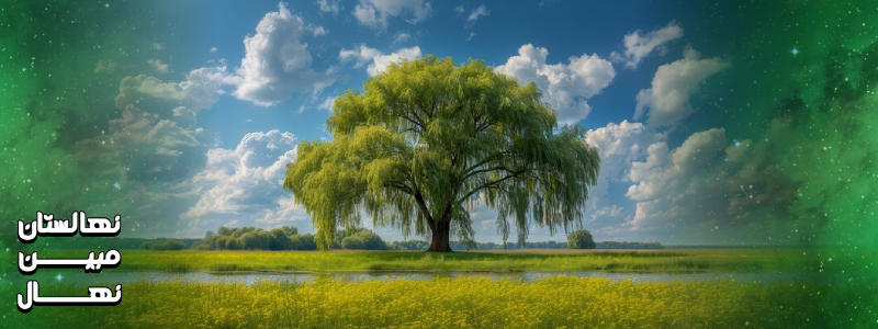 نگهداری درخت بید مجنون 7 ساله و 3 ساله