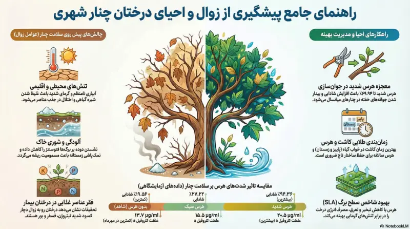 نگهداری از نهال چنار