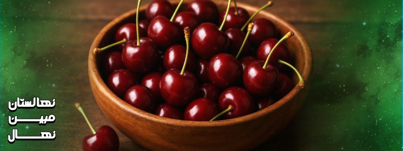 خرید نهال گیلاس