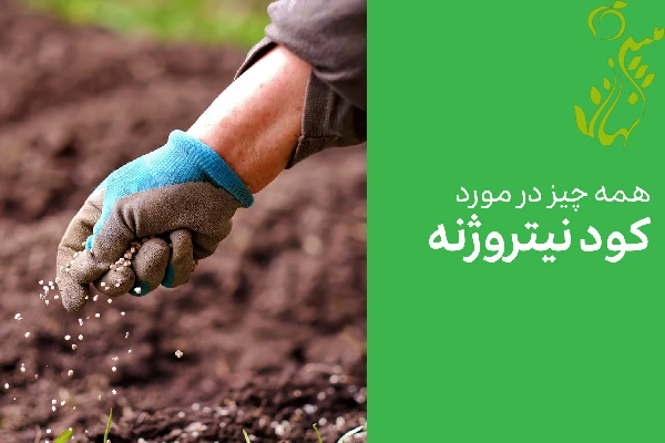 کود نیتروژن بهترین کود برای درخت گردو